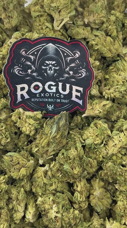 #B-EC003 Pineapple Zlurpee