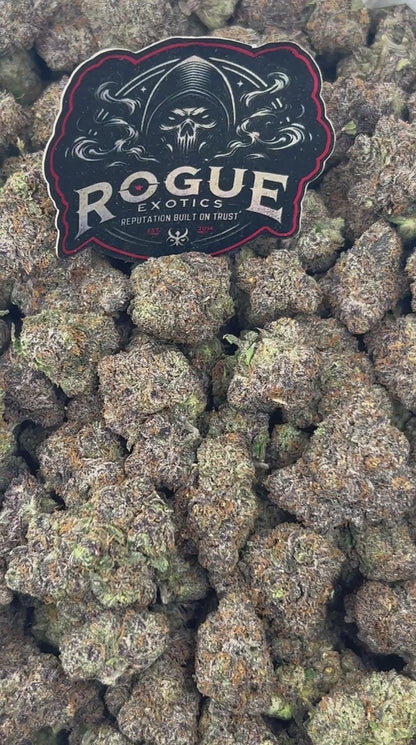 #N-CM1095 Purple Candy Gas