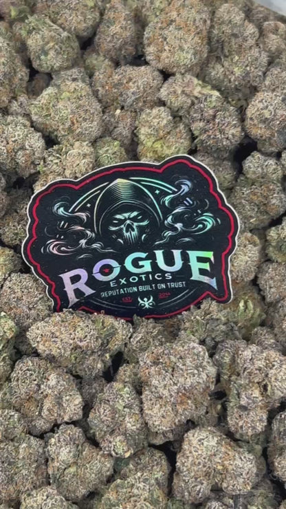#N-CM1408 Tropical Zkittlez